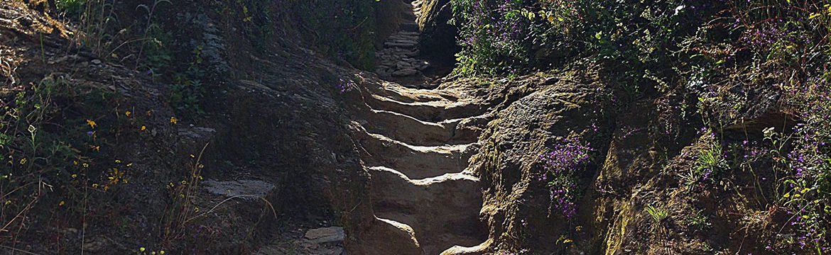 Steinweg auf dem Jakobsweg